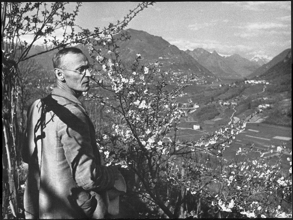 hermann hesse - elleboro editore