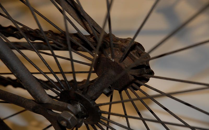 vecchia bicicletta - elleboro editore