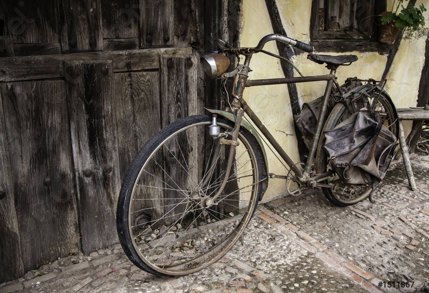 vecchia bicicletta - elleboro editore