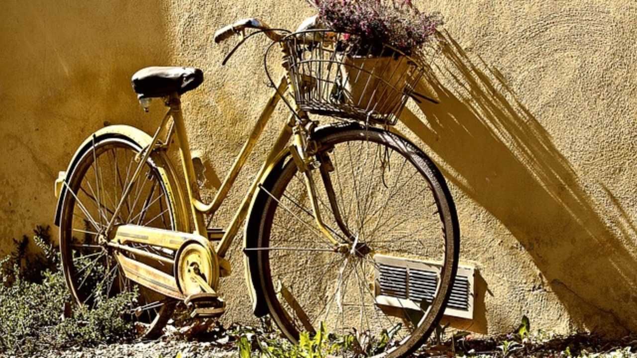vecchia bicicletta - elleboro editore