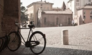 ferrara - bicicletta - elleboro editore